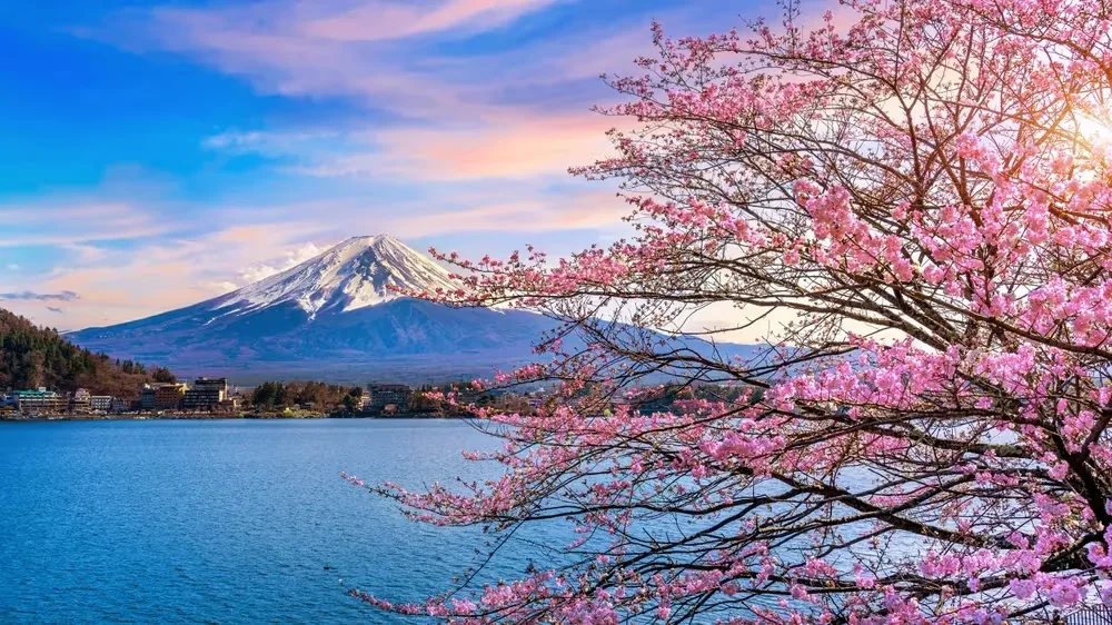 Platinum Doğu Asya’nın Güneşi ve Çiçeği “Japonya ve Güney Kore” (HND-ICN) THY ile 9 gece Tokyo(3) - Hakone - Osaka(3) - Kyoto - Nara - Seul(3) | Tüm turlar ve giriş ücretleri dahil || T440-58