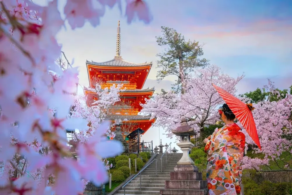 Platinum Doğu Asya’nın Çiçeği ve Güneşi “Güney Kore ve Japonya” (ICN-HND) THY ile 9 gece Seul (3) – Osaka (3) – Kyoto – Nara – Tokyo (3) – Fuji Dağı - Hakone | Tüm turlar ve giriş ücretleri d