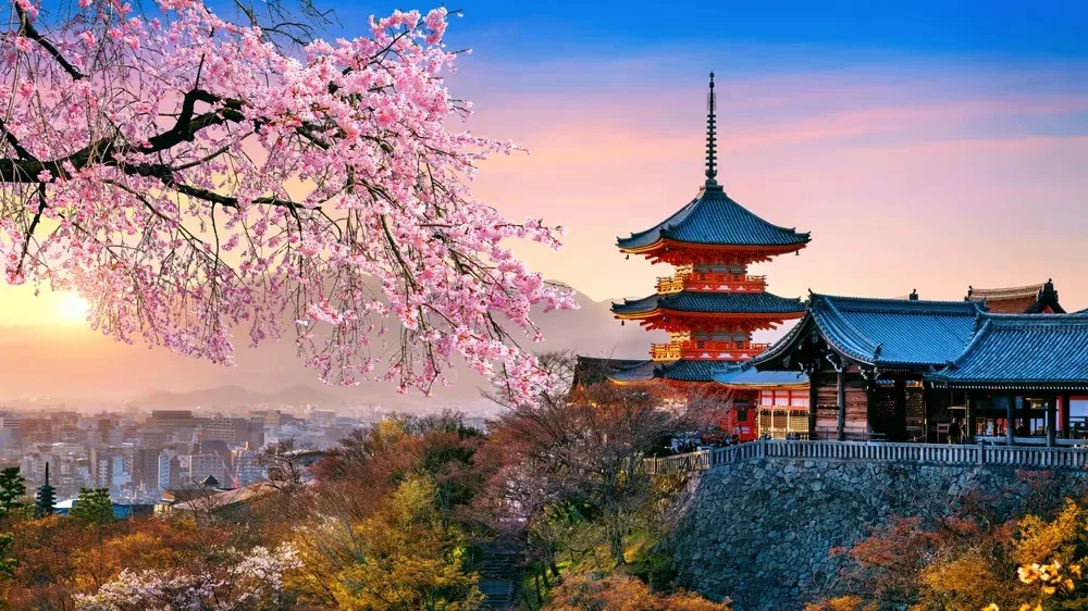 Platinum Doğu Asya’nın Çiçeği ve Güneşi “Güney Kore ve Japonya” (ICN-HND) THY ile 8 gece Seul (2) – Osaka (3) – Kyoto – Kobe - Nara – Tokyo (3) – Fuji Dağı - Hakone | Tüm turlar ve giriş ücre